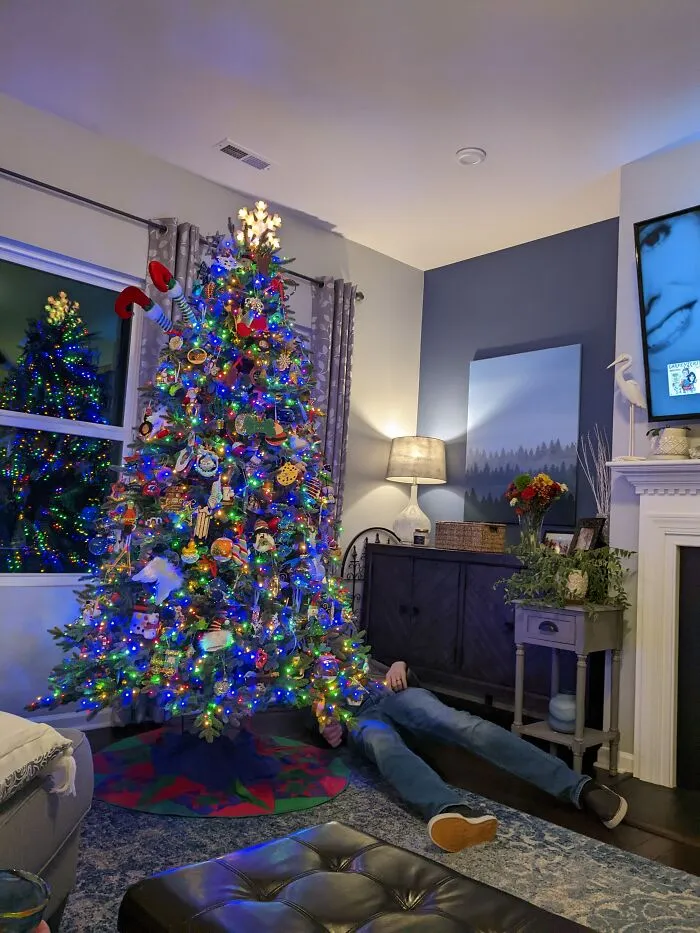 Just A Normal Tree
