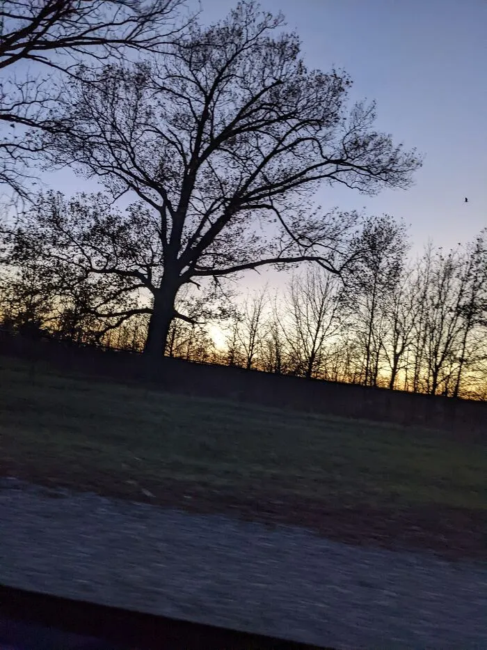 Country Drive