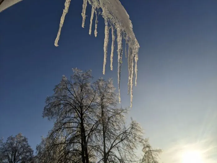 Winter Photographed With My Phone (14 Pics)