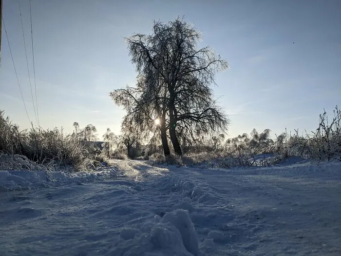 Winter Photographed With My Phone (14 Pics)