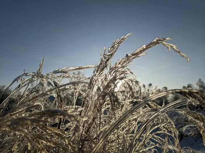 Winter Photographed With My Phone (14 Pics)
