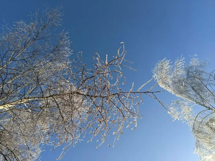 Winter Photographed With My Phone (14 Pics)