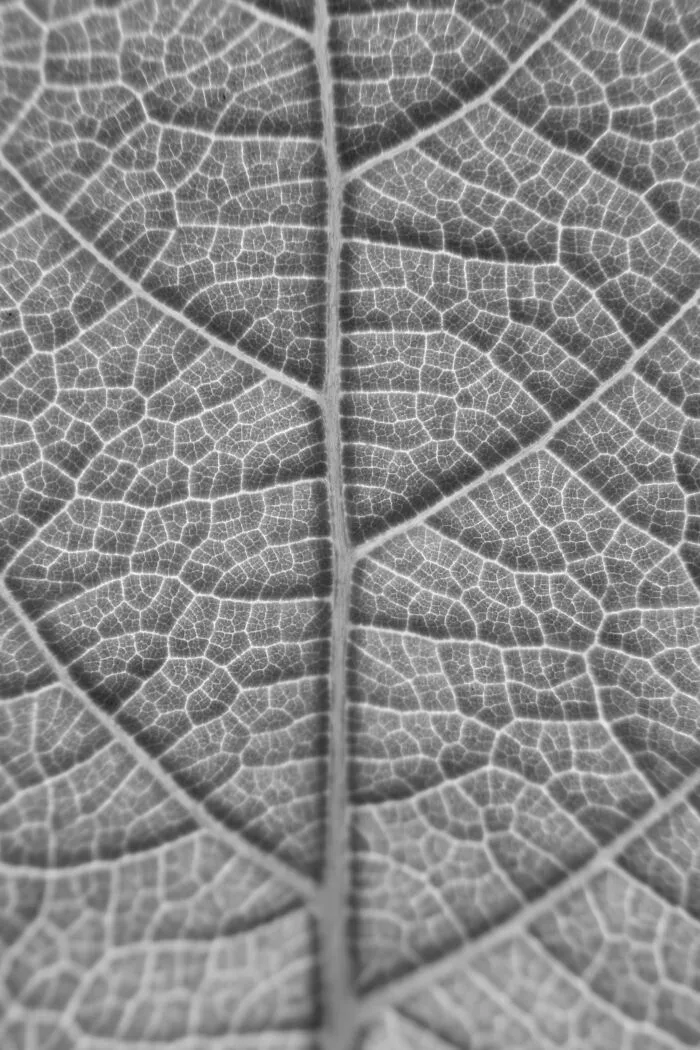 Photography For Your Coffee Break: 32 Photos That I Took