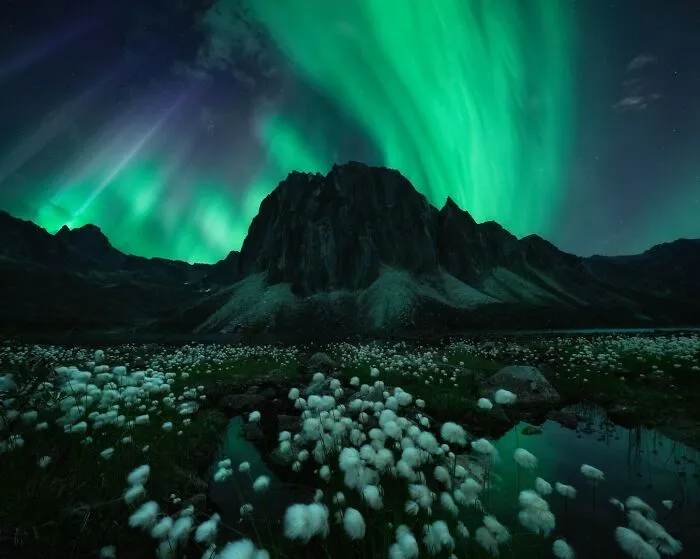 “Under A Northern Sky” By  Rachel Jones Ross