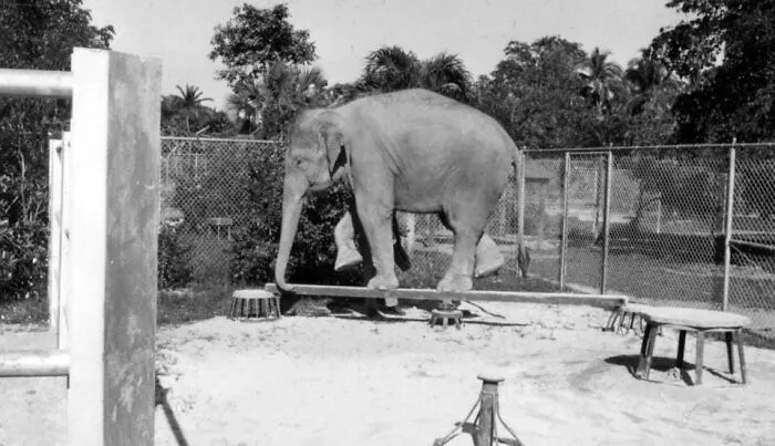 Santa Fe Zoo