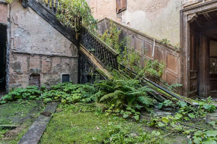 My 30 Pictures That Show The Post-Apocalyptic View Of The World If Humans Suddenly Ceased To Exist