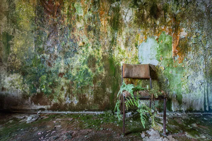 My 30 Pictures That Show The Post-Apocalyptic View Of The World If Humans Suddenly Ceased To Exist