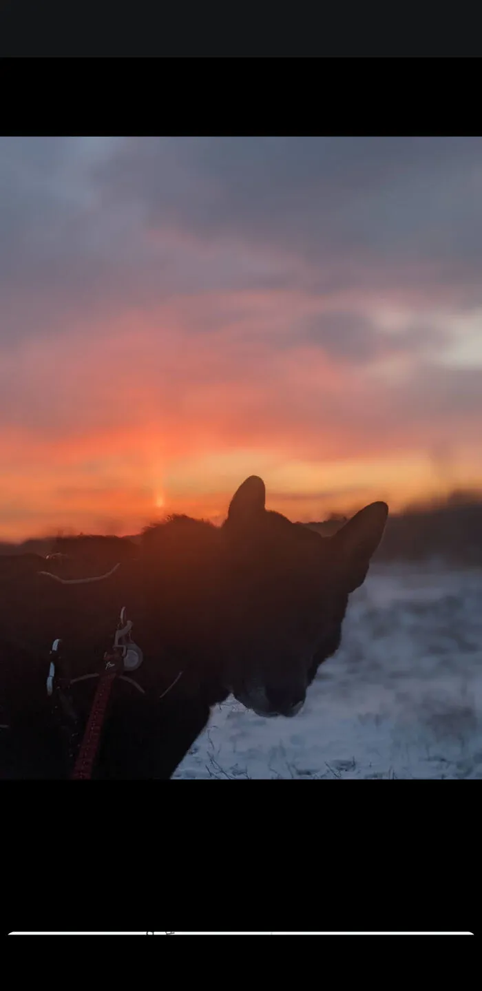 Winter Sunrise In London Ontario Canada