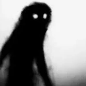 Shadow4000