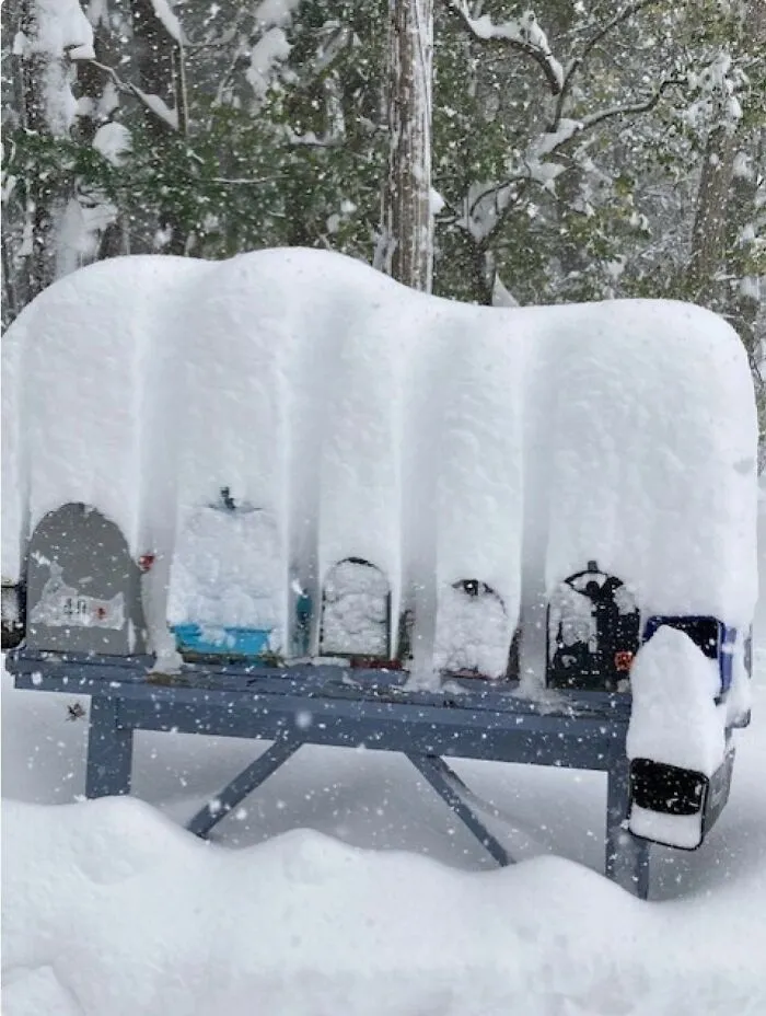 Sooo Much Snow!