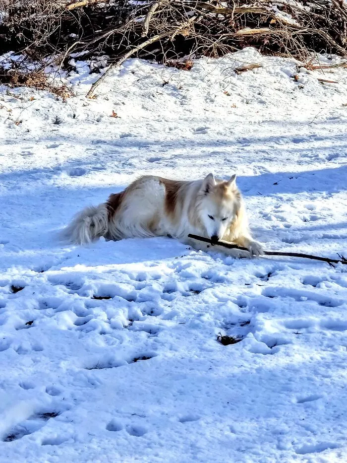10 Years Young And Would Spend The Day Out There!