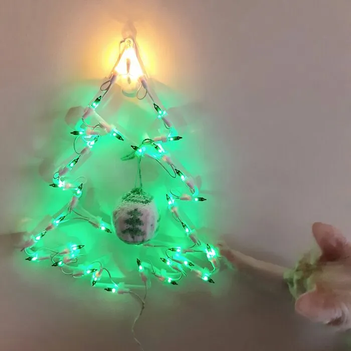 I Put Up A Tree I Thought The Cat Couldn't Get At. I Was Wrong