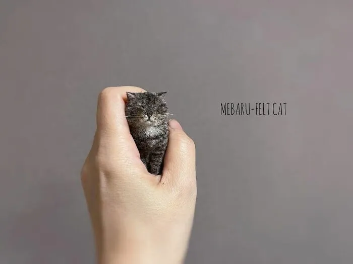 This Artist Makes Realistic-Looking Felted Little Cats In Various Signature Cat Poses (45 Pics)