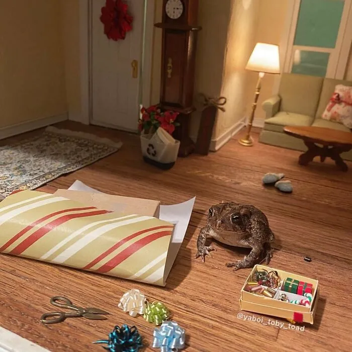 69 Pictures Of Toby The Toad Living An Old Man’s Life In This Decorated Dollhouse