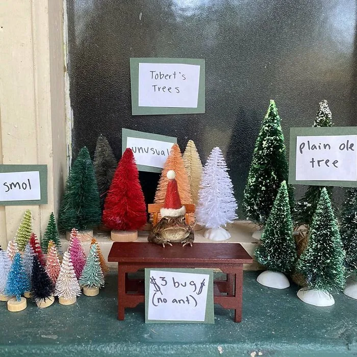 69 Pictures Of Toby The Toad Living An Old Man’s Life In This Decorated Dollhouse