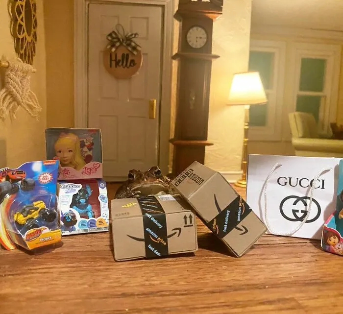 69 Pictures Of Toby The Toad Living An Old Man’s Life In This Decorated Dollhouse