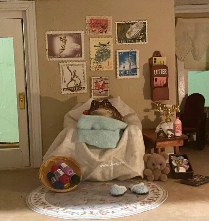 69 Pictures Of Toby The Toad Living An Old Man’s Life In This Decorated Dollhouse
