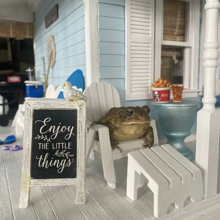 69 Pictures Of Toby The Toad Living An Old Man’s Life In This Decorated Dollhouse
