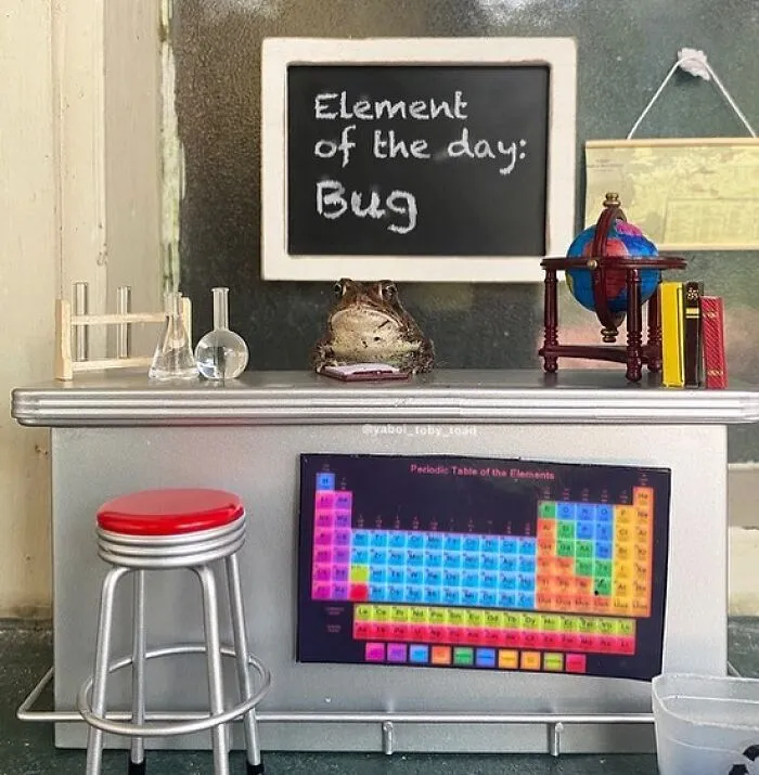 69 Pictures Of Toby The Toad Living An Old Man’s Life In This Decorated Dollhouse