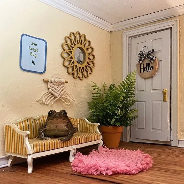 69 Pictures Of Toby The Toad Living An Old Man’s Life In This Decorated Dollhouse