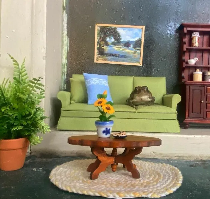 69 Pictures Of Toby The Toad Living An Old Man’s Life In This Decorated Dollhouse
