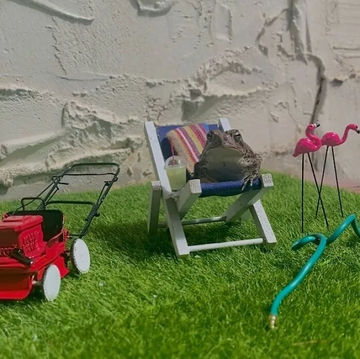 69 Pictures Of Toby The Toad Living An Old Man’s Life In This Decorated Dollhouse