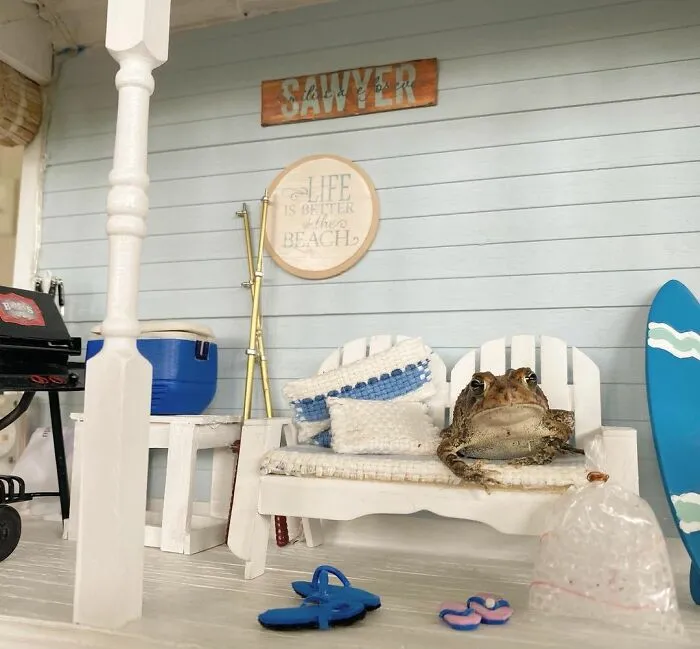 69 Pictures Of Toby The Toad Living An Old Man’s Life In This Decorated Dollhouse