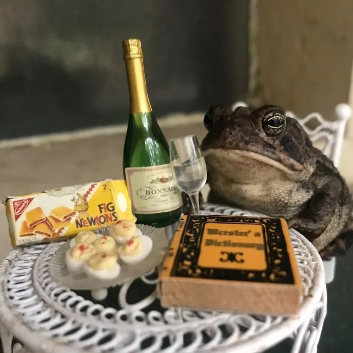 69 Pictures Of Toby The Toad Living An Old Man’s Life In This Decorated Dollhouse