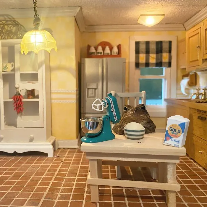 69 Pictures Of Toby The Toad Living An Old Man’s Life In This Decorated Dollhouse