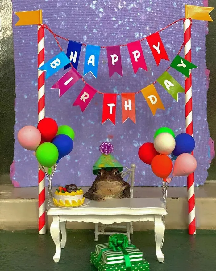 69 Pictures Of Toby The Toad Living An Old Man’s Life In This Decorated Dollhouse