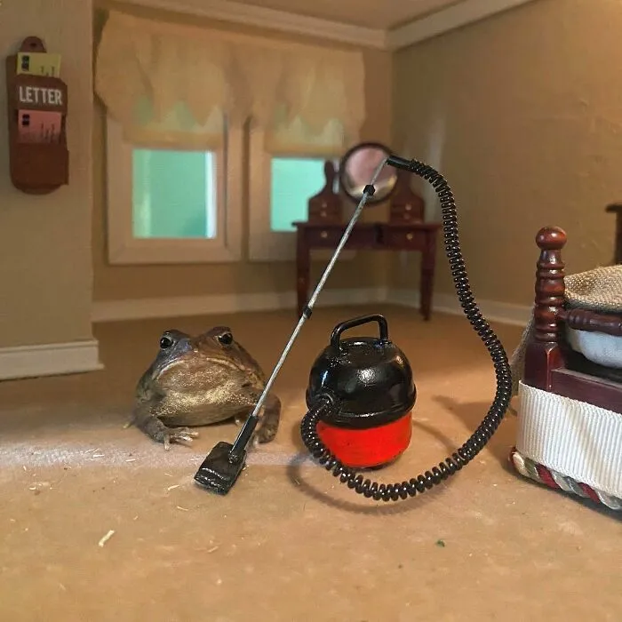 69 Pictures Of Toby The Toad Living An Old Man’s Life In This Decorated Dollhouse