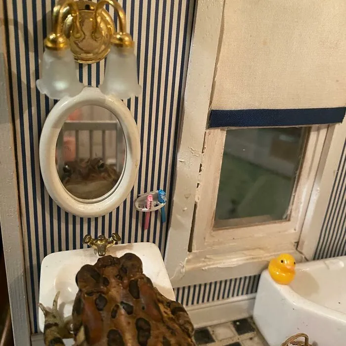 69 Pictures Of Toby The Toad Living An Old Man’s Life In This Decorated Dollhouse