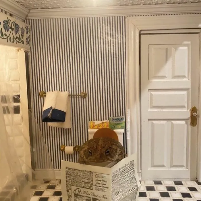 69 Pictures Of Toby The Toad Living An Old Man’s Life In This Decorated Dollhouse