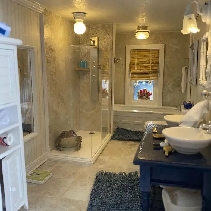 69 Pictures Of Toby The Toad Living An Old Man’s Life In This Decorated Dollhouse
