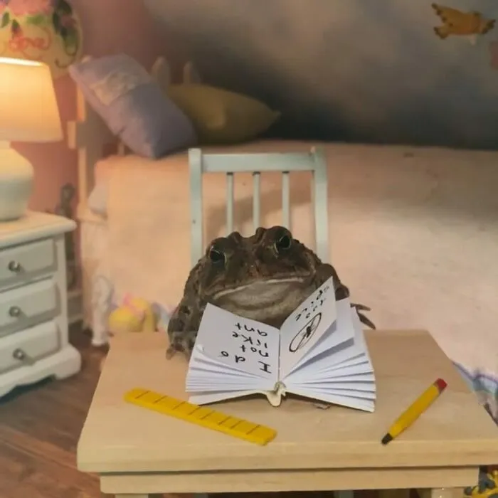69 Pictures Of Toby The Toad Living An Old Man’s Life In This Decorated Dollhouse