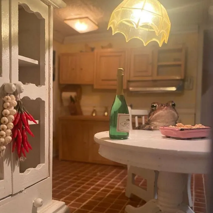 69 Pictures Of Toby The Toad Living An Old Man’s Life In This Decorated Dollhouse