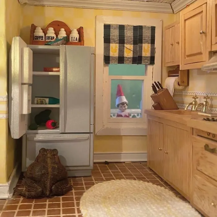 69 Pictures Of Toby The Toad Living An Old Man’s Life In This Decorated Dollhouse