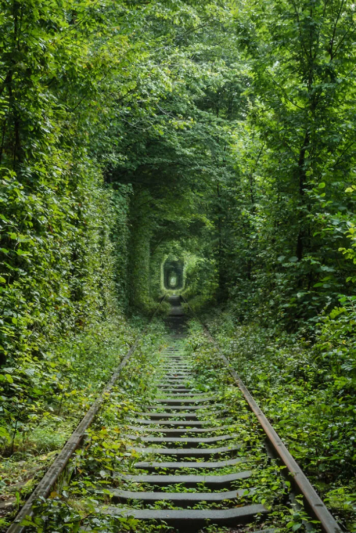 My 30 Pictures That Show The Post-Apocalyptic View Of The World If Humans Suddenly Ceased To Exist