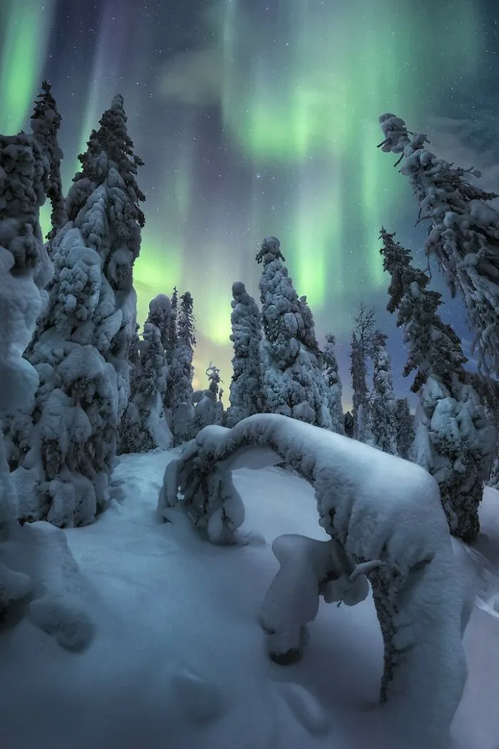 “Spirits Of Winter” By  Unai Larraya
