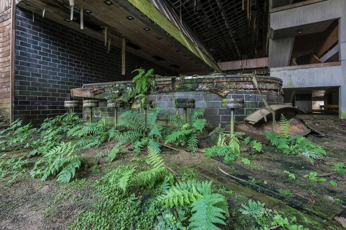 My 30 Pictures That Show The Post-Apocalyptic View Of The World If Humans Suddenly Ceased To Exist