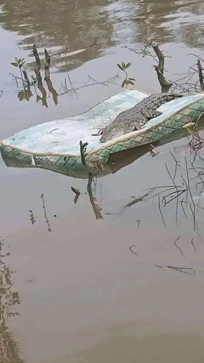 "Accidental Surrealism": 50 Unbelievable Pictures That Make One Do A Double Take (New Pics)