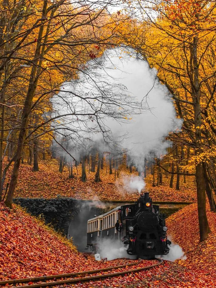 "Surrealismo accidental": 40 imágenes increíbles que tendrás que mirar 2 veces (nuevas fotos)