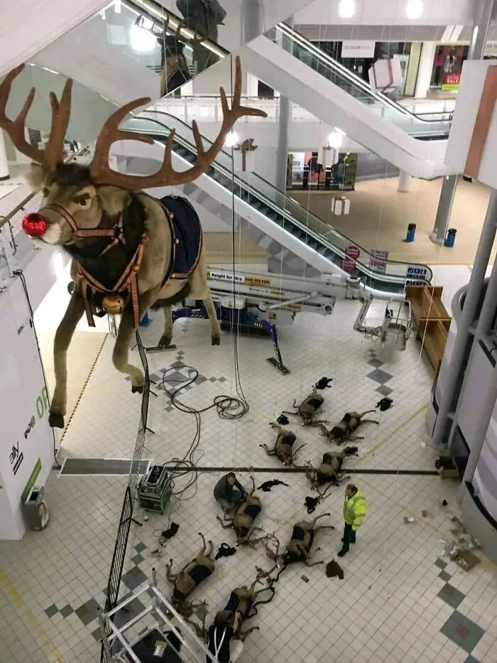 "Accidental Surrealism": 50 Unbelievable Pictures That Make One Do A Double Take (New Pics)
