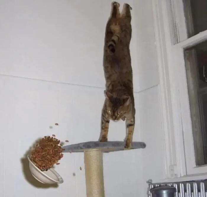 "Accidental Surrealism": 50 Unbelievable Pictures That Make One Do A Double Take (New Pics)