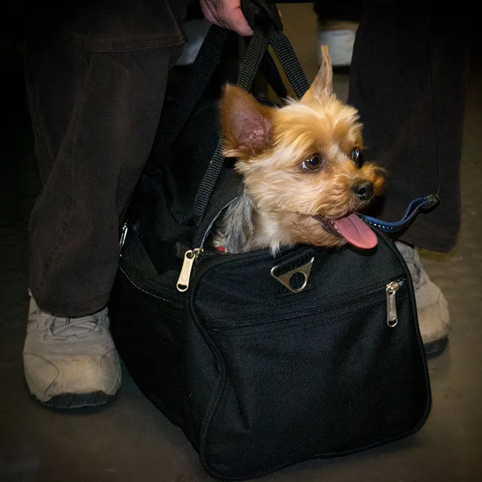 "People Who Work For Airlines, What Are Secrets Passengers Don't Know?" (30 Answers)