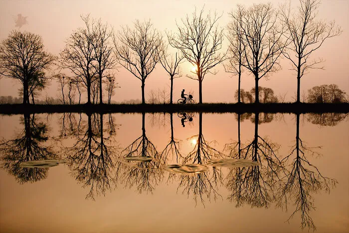 Misty Morning Magic