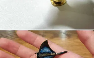 "Welcome To Ceramics": 40 Times Ceramics Enthusiasts Made Something So Cool And Unique, They Just Had To Show It Off In This Online Group
