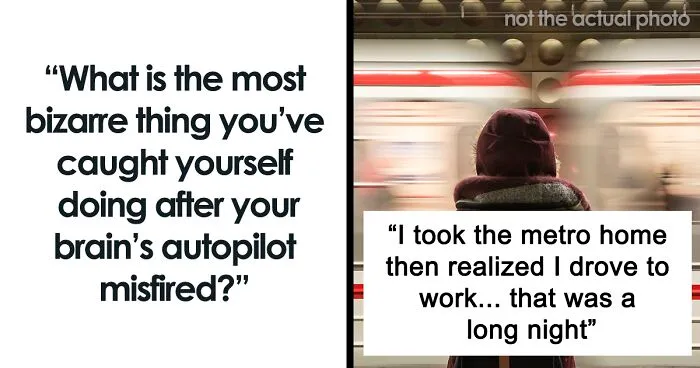 50 Stupid Things People Did On 'Brain Autopilot,' According To This Viral Thread
