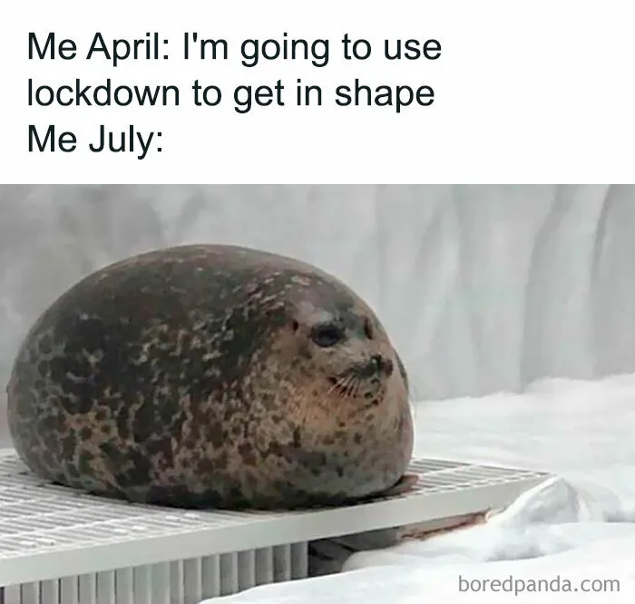 50 Of The Funniest Weight Loss And Diet Memes Because The Struggle Is Real