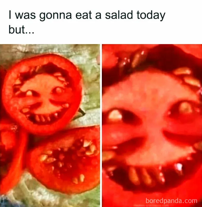 50 Of The Funniest Weight Loss And Diet Memes Because The Struggle Is Real